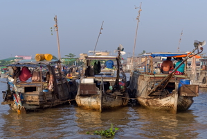 Cây Bẹo